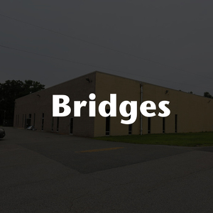 Fundraising Page: Bridges Day Program